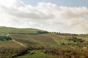 Foto Chianti