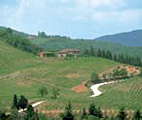 Foto Chianti